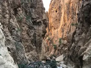 Jasana Cave
