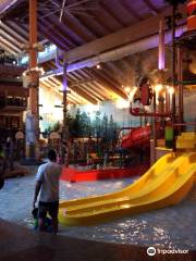 Great Wolf Lodge - Water Park