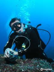 Carnac Plongee Dive Center