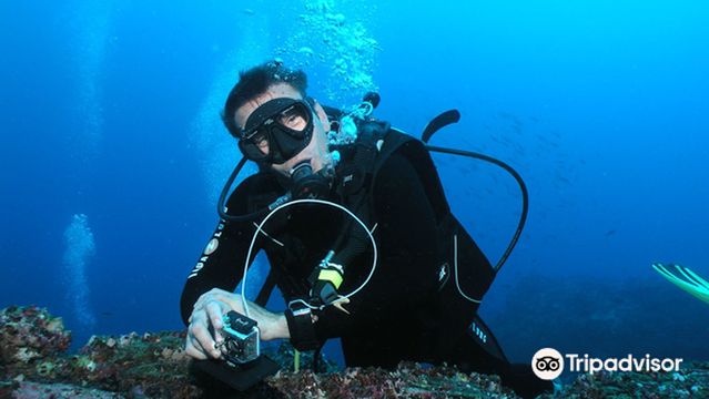 Carnac Plongee Dive Center
