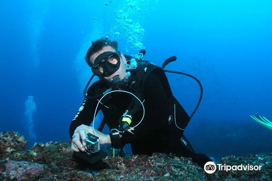 Carnac Plongee Dive Center