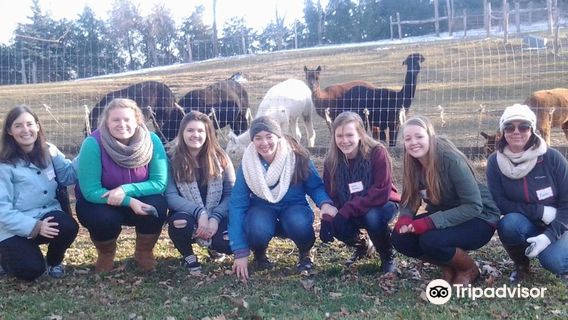 Apple Hill Farm: Reservations Required