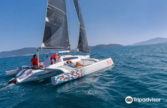 諾維·維諾多爾斯基