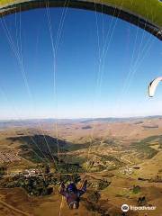 Wild Sky Paragliding