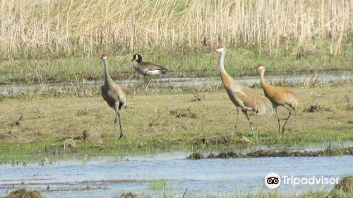 Iroquois National Wildlife Refuge