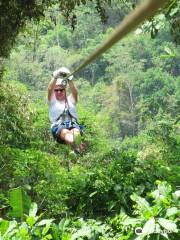 Sky Mountain Canopy