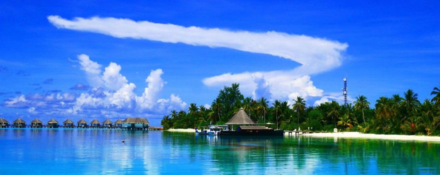 Joy Dive Safari Island