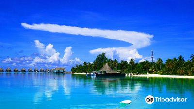 Joy Dive Safari Island