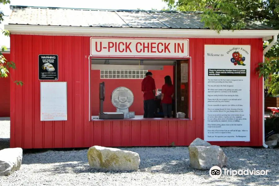 Driediger Farms Market