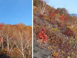 이와테 산