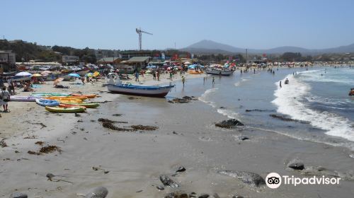 Playa Los Molles