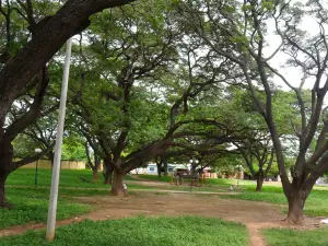 Parque De Los Algarrobillos.