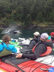 San Juan Island Outfitters