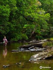 Camden Fishing