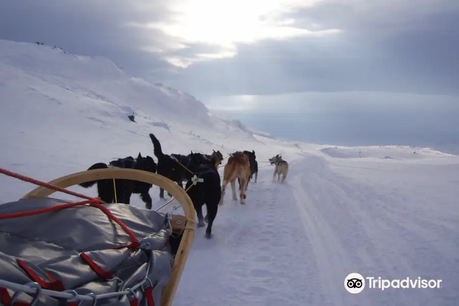 Lyngen Outdoor Experiences