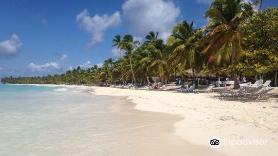 Concept Tours Punta Cana