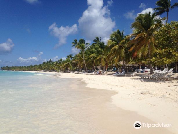 Concept Tours Punta Cana