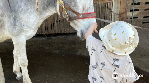 Ferme Chene de Greletti