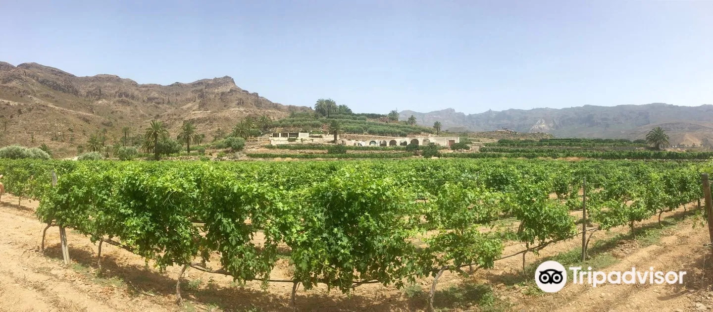 5_Bodegas Las Tirajanas