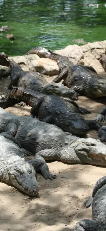 Days Inn Properties in Padur