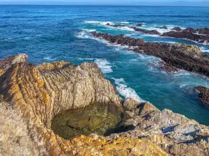 Montaña de Oro State Park