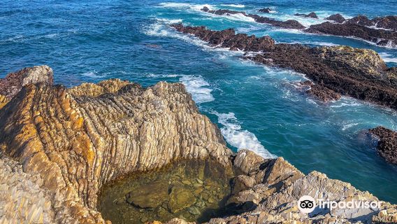 Montaña de Oro State Park