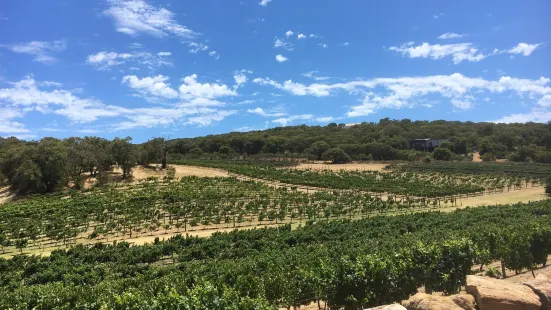 Cape Naturaliste Vineyard