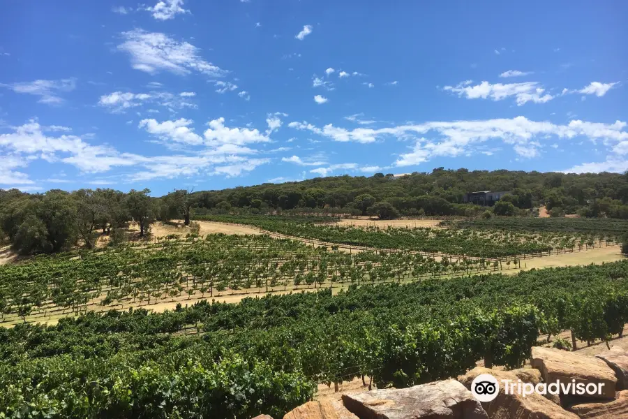 Cape Naturaliste Vineyard