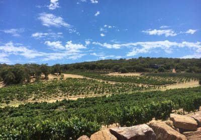 Cape Naturaliste Vineyard