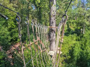 Tree Adventure Accrodiable