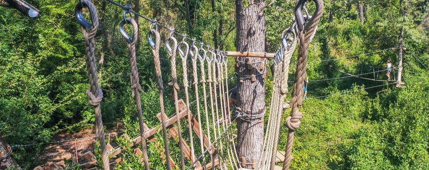 Tree Adventure Accrodiable