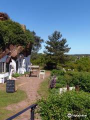 National Trust - Kinver Edge and the Rock Houses