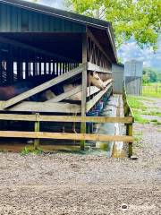 Cades Cove Riding Stables