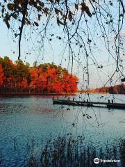 Lake Wedington Recreation Area