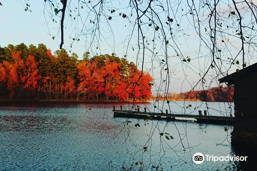 Lake Wedington Recreation Area