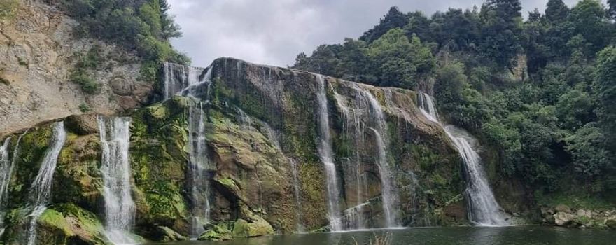 Waihi Falls