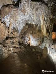 Buchan Caves Reserve Visitor Centre and Ticket Office