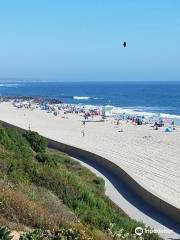 South Carlsbad State Beach Campground