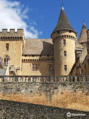 Castillo de Puymartin