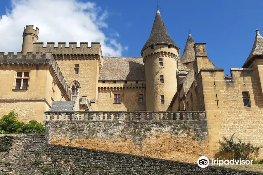 Chateau de Puymartin