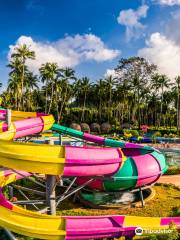 Pink Elephant, Samui Water Park