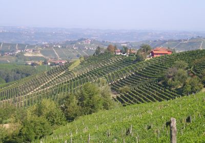 Azienda Agricola Ressia