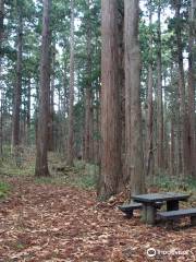 Kamiouchisawa Nature Observation Training Forest