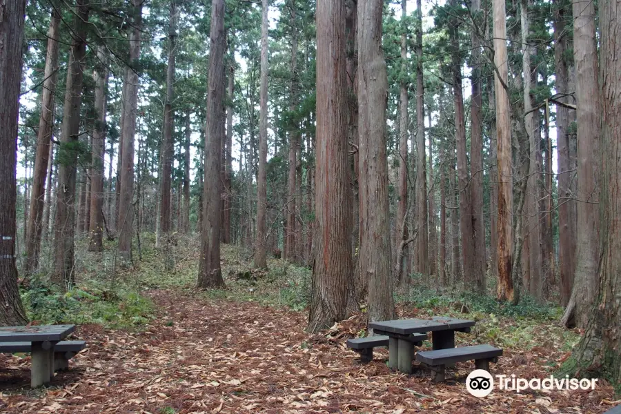 Kamiouchisawa Nature Observation Training Forest