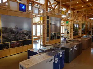 Tanesashikaigan Information Center