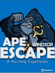 APE Escape Windsor