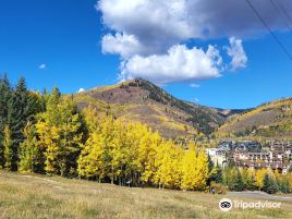 Vail Valley Drive
