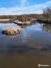 Busse Woods Trail System