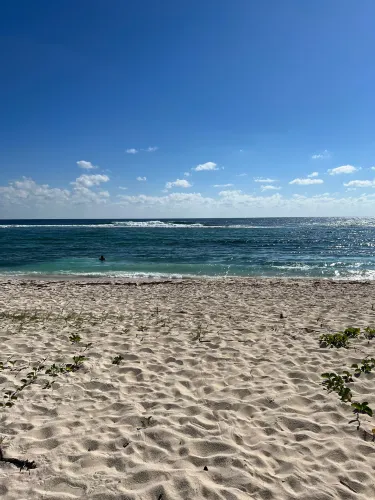 Spotts Beach