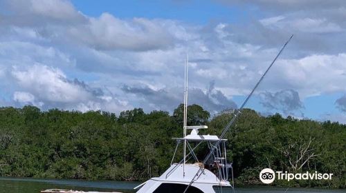 Jaco Tours Sportfishing